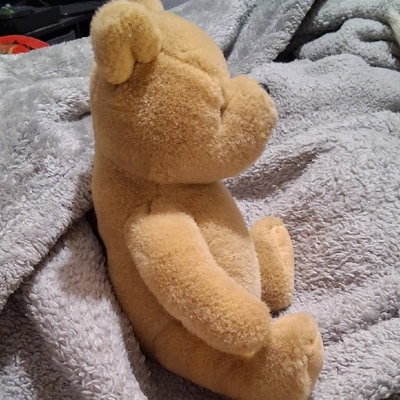 Gund Tan Stuffed Bear - Picture 2 of 5